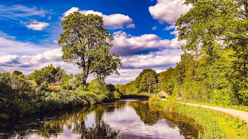 A tree-lined pond at Shepherd Wheel reflecting blue sky and clouds